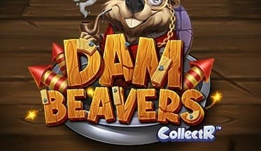 Dam Beavers